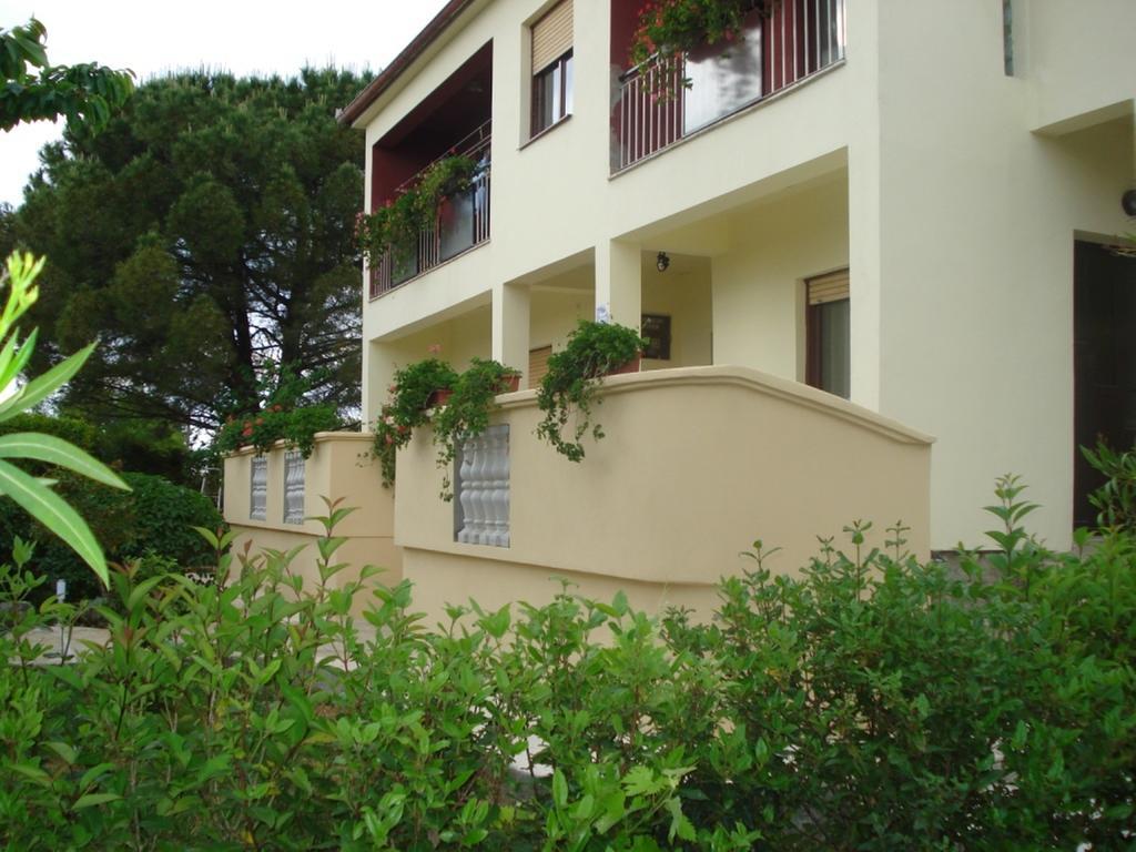 Apartments Xenia Petrčane Chambre photo